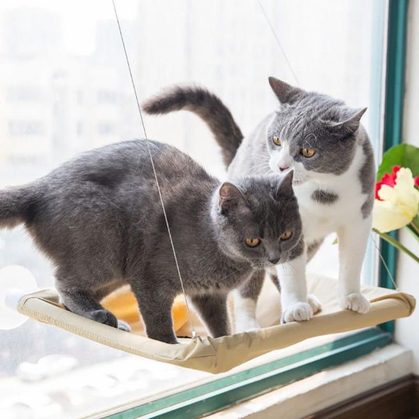 cat beds & furniture cute pet hanging bearing 15kg sunny window seat mount hammock comfortable strong sucker bed shelf
cat beds & furniture cute pet hanging bearing 15kg sunny window seat mount hammock comfortable strong sucker bed shelf