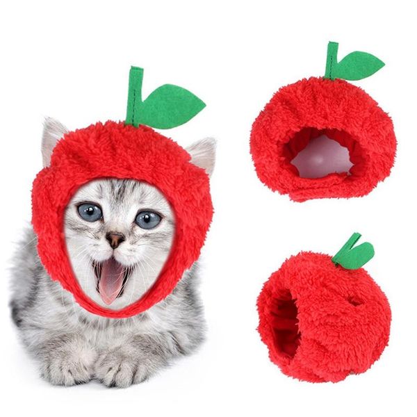 мода pet hat hat hots hats winter теплый теплый домашний корпус для собак фруктовые сосновые шляпа шляпа для собак щенок груминг костюм ч
мода pet hat hat hots hats winter теплый теплый домашний корпус для собак фруктовые сосновые шляпа шляпа для собак щенок груминг костюм ч