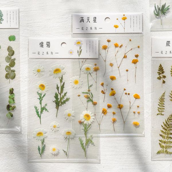 12 designs natural daisy clover japanese words stickers transparent pet material flowers leaves plants deco sticker aesthetic wmtmzn
12 designs natural daisy clover japanese words stickers transparent pet material flowers leaves plants deco sticker aesthetic wmtmzn
