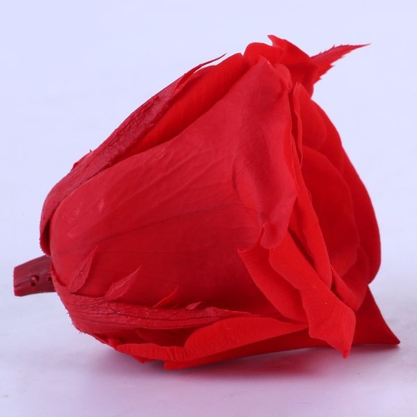 rose 8pcs/set preserved 4-5cm diameter flowers immortal valentine mothers day eternal life flower material gift box
rose 8pcs/set preserved 4-5cm diameter flowers immortal valentine mothers day eternal life flower material gift box