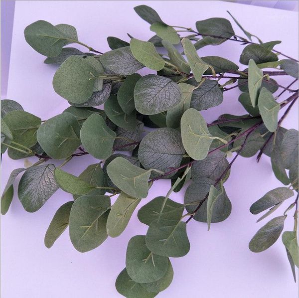 decorative flowers & wreaths eucalyptus wholesale green plant artificial silk leaves home wedding party christmas decoration accessory fake
decorative flowers & wreaths eucalyptus wholesale green plant artificial silk leaves home wedding party christmas decoration accessory fake