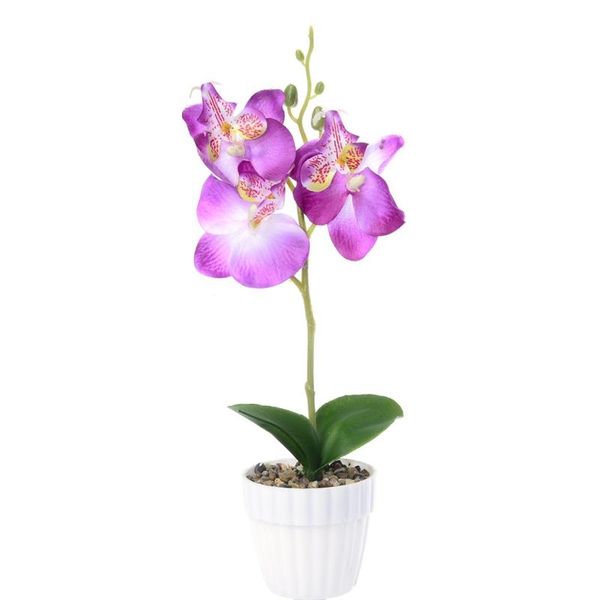 triple head artificial plastic butterfly orchid silk flower home mini phalaenopsis simulation plants party decoration wedding
triple head artificial plastic butterfly orchid silk flower home mini phalaenopsis simulation plants party decoration wedding