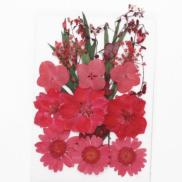 1bag dried flowers uv resin decorative natural floral flower stickers 3d beauty nail art decals epoxy mold diy filling jewelry h bbyvvu
1bag dried flowers uv resin decorative natural floral flower stickers 3d beauty nail art decals epoxy mold diy filling jewelry h bbyvvu