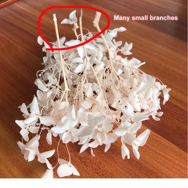 4-4.5g / лот высокое качество натуральные свежие консервированные цветы высушенные гортензии цветочная головка для diy real eternal life flo
4-4.5g / лот высокое качество натуральные свежие консервированные цветы высушенные гортензии цветочная головка для diy real eternal life flo