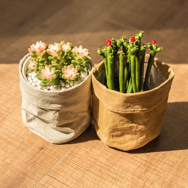 kraft paper foldable pots waterproof deskstorage basket retro environmental protection planters storage bag mini garden vegetable pouch
kraft paper foldable pots waterproof deskstorage basket retro environmental protection planters storage bag mini garden vegetable pouch