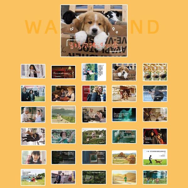 60pcs lot карты наклейки lovers 6 дизайн дневник декоративные скрапбукинг пара журнал наклейка эстетическая planner diy альбом gift jllcfw m
60pcs lot карты наклейки lovers 6 дизайн дневник декоративные скрапбукинг пара журнал наклейка эстетическая planner diy альбом gift jllcfw m