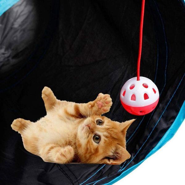 домашние животные игрушки cat tunne 4 way kertoor cats собаки кролики playhouse складной складной складки с хранением сочетание туннельная т
домашние животные игрушки cat tunne 4 way kertoor cats собаки кролики playhouse складной складной складки с хранением сочетание туннельная т