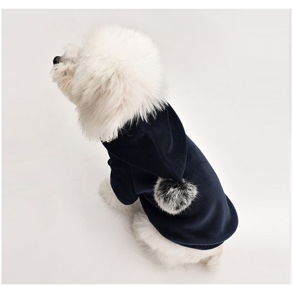 fashion dog hoodies pet clothes for dogs coat jacket winter dog clothes french bulldog clothing for dogs outfit pets clothing f bbyfua
fashion dog hoodies pet clothes for dogs coat jacket winter dog clothes french bulldog clothing for dogs outfit pets clothing f bbyfua