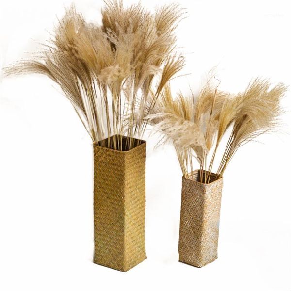 shopwindow decor real pampas grass 20 pcs reed natural dried plant ornaments wedding decor flower bunch no vase1
shopwindow decor real pampas grass 20 pcs reed natural dried plant ornaments wedding decor flower bunch no vase1