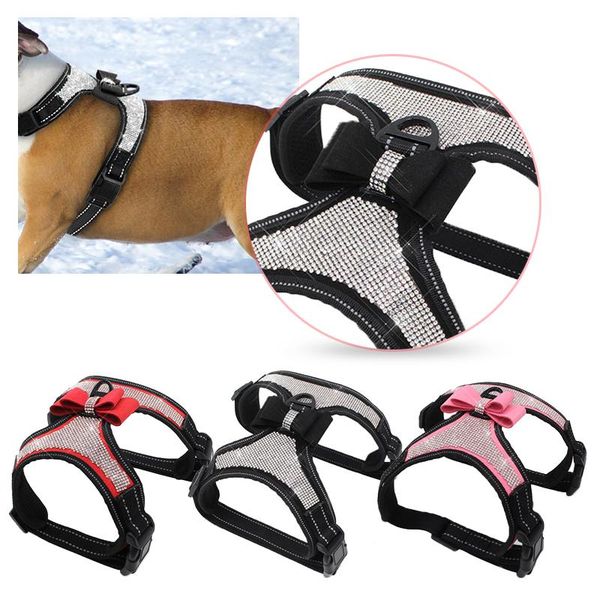 adjustable nylon bow pet chest strap cat leash rope set small dog collar chest back dog strap small supplies
adjustable nylon bow pet chest strap cat leash rope set small dog collar chest back dog strap small supplies