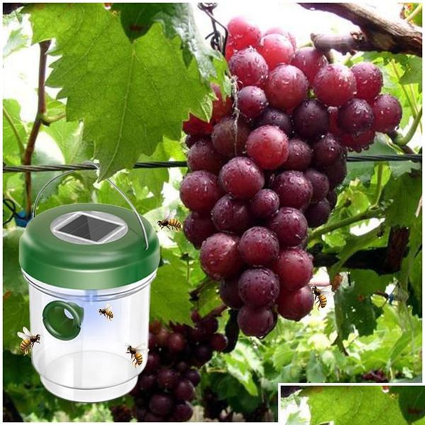 wasp trap, non-toxic wasp trap catcher,reusable solar powered fly trap with ultraviolet led light waterproof for qylczv lipper
wasp trap, non-toxic wasp trap catcher,reusable solar powered fly trap with ultraviolet led light waterproof for qylczv lipper