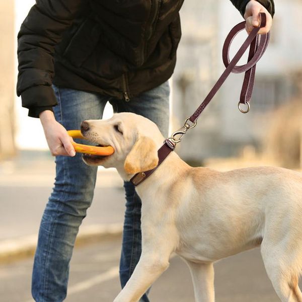 1.5m real leather dog leash rope pet walking running leash lead for small medium large dogs genuine leather pets st bbygem
1.5m real leather dog leash rope pet walking running leash lead for small medium large dogs genuine leather pets st bbygem