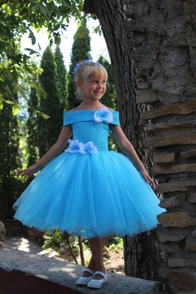cinderella flower girls dresses with off shoulder and hand made birthday party flowers blue tulle satin ball gown first communion gowns, White;blue
cinderella flower girls dresses with off shoulder and hand made birthday party flowers blue tulle satin ball gown first communion gowns, White;blue