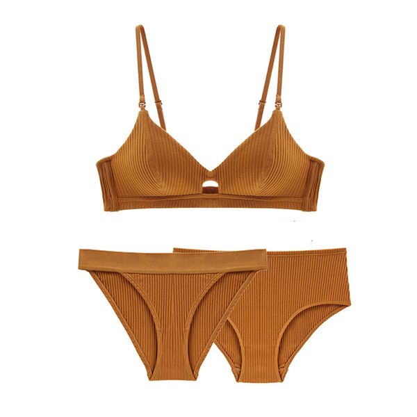 1 bra and 2 panties sets lingerie bralette underwear women bra set cotton push up wireless brassiere for ladies blue pink y200708, Red;black
1 bra and 2 panties sets lingerie bralette underwear women bra set cotton push up wireless brassiere for ladies blue pink y200708, Red;black