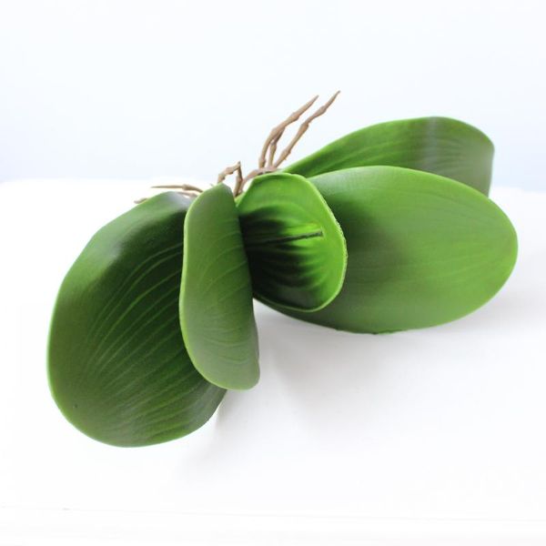 butterfly orchid leaf artificial green plastic flower leaf home wedding party decoration
butterfly orchid leaf artificial green plastic flower leaf home wedding party decoration