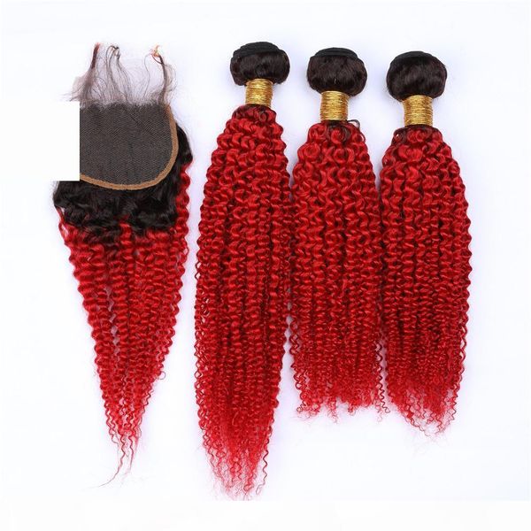malaysian human hair black to red ombre kinky curly weave wefts 3pcs with closure #1b red ombre 4x4 lace front closure with 3bundles, Black;brown
malaysian human hair black to red ombre kinky curly weave wefts 3pcs with closure #1b red ombre 4x4 lace front closure with 3bundles, Black;brown