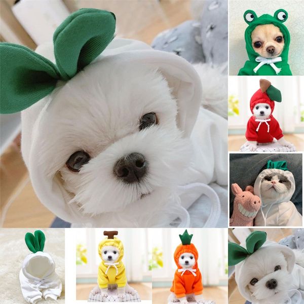 pet coats with cap fruit white radish shape sweaters lace up autumn winter warm cat puppy clothes cute fashion 9 9gg g2
pet coats with cap fruit white radish shape sweaters lace up autumn winter warm cat puppy clothes cute fashion 9 9gg g2