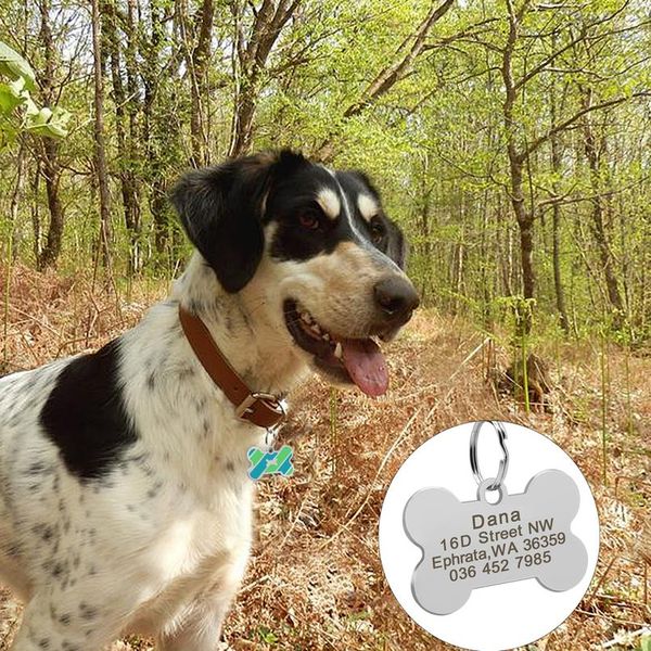dog tag custom pet bone name tags stainless steel dog collar accessories anti-lost puppy cat nameplate tag personalized wmtxop
dog tag custom pet bone name tags stainless steel dog collar accessories anti-lost puppy cat nameplate tag personalized wmtxop