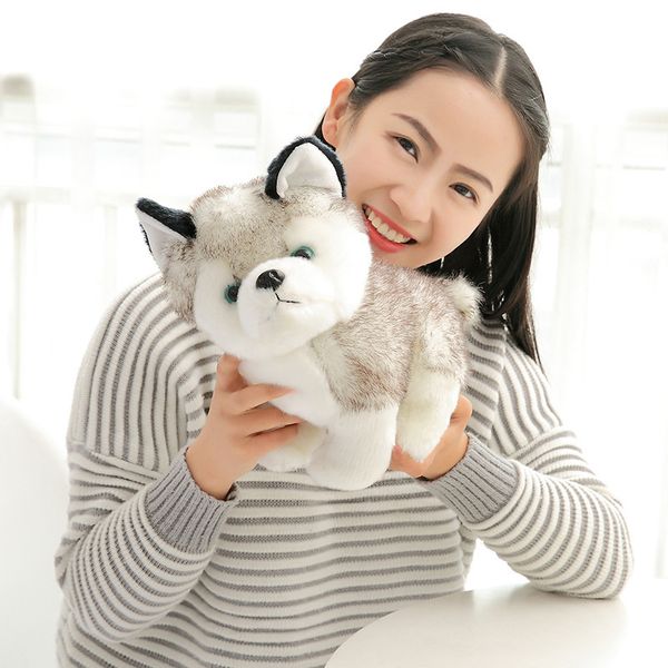 husky dog plush toys stuffed animals toys hobbies 7 inch 18cm stuffed plus animals b11
husky dog plush toys stuffed animals toys hobbies 7 inch 18cm stuffed plus animals b11