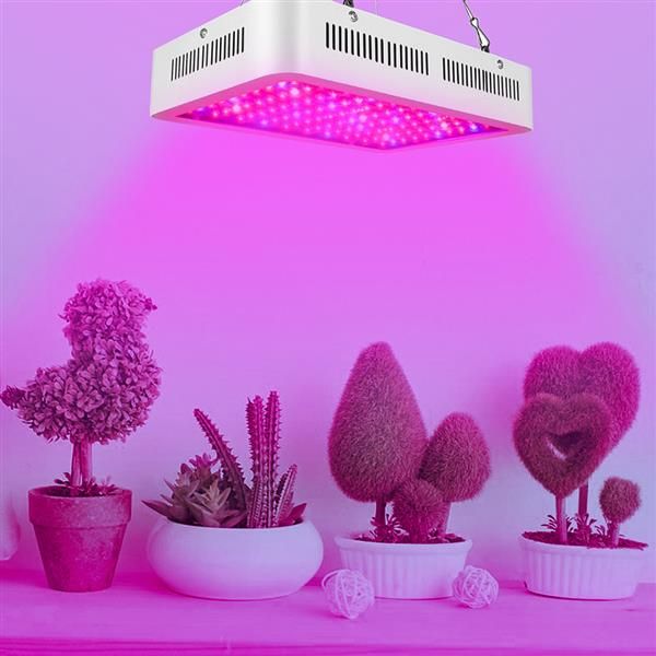 1000w dual chips 380-730nm full light spectrum led plant growth lamp white grade material grow lights wholesale
1000w dual chips 380-730nm full light spectrum led plant growth lamp white grade material grow lights wholesale