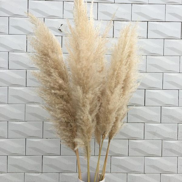 decorative flowers & wreaths 3pcs natural reed dried flower pampas grass bouquet wedding ceremony decoration modern home 60cm long1
decorative flowers & wreaths 3pcs natural reed dried flower pampas grass bouquet wedding ceremony decoration modern home 60cm long1