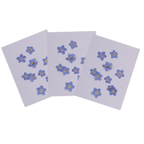 decorative flowers & wreaths 30 pieces pressed forget-me-not real dried embellishments for craft diy nail art jewelry making pendants charms
decorative flowers & wreaths 30 pieces pressed forget-me-not real dried embellishments for craft diy nail art jewelry making pendants charms