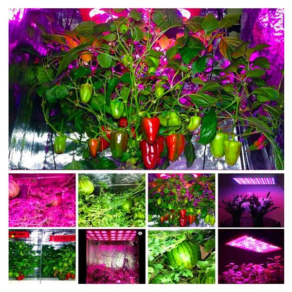 1200w high intensity led dual chips 380-730nm full light spectrum led plant growth lamp white low heat
1200w high intensity led dual chips 380-730nm full light spectrum led plant growth lamp white low heat