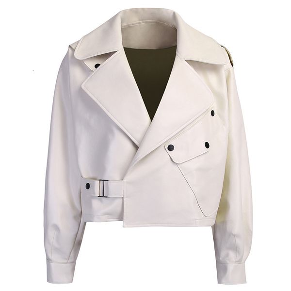 ailegogo new arrival winter autumn 2020 women's leather wallet campera chaqueta cuero mujer modis coat women veste cuir de couro q1217, Black
ailegogo new arrival winter autumn 2020 women's leather wallet campera chaqueta cuero mujer modis coat women veste cuir de couro q1217, Black