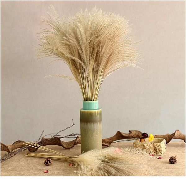 10pcs/lot natural dried flower reed flower bouquet for home wedding decoration phragmite bulrush branch pho bbyroi
10pcs/lot natural dried flower reed flower bouquet for home wedding decoration phragmite bulrush branch pho bbyroi