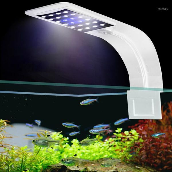 10w high brightness aquarium fish tank clip-on led light energy-saving lamp eu plug waterproof lamp for fish tanks1
10w high brightness aquarium fish tank clip-on led light energy-saving lamp eu plug waterproof lamp for fish tanks1