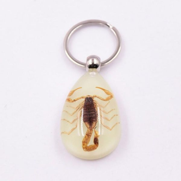 noctilucent key holder handbag wallet pendant creative scorpion keychain scorpion amber pendant key rings1, Silver
noctilucent key holder handbag wallet pendant creative scorpion keychain scorpion amber pendant key rings1, Silver