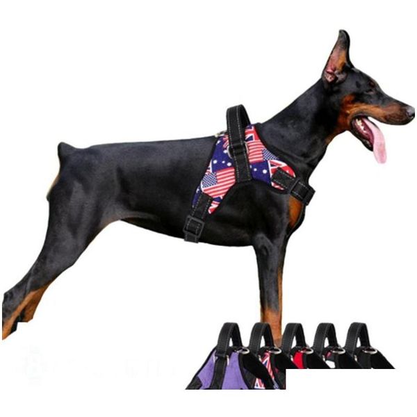 nylon dog harness outdoor small dog vest pets harnesses puppy belt leads accessories dogs supplies 13 designs lyw2874 zme7s
nylon dog harness outdoor small dog vest pets harnesses puppy belt leads accessories dogs supplies 13 designs lyw2874 zme7s