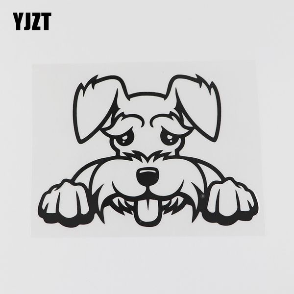 yjzt 13.7cmx9.5cm cartoon schnauzer peeking decal vinyl car sticker black/silver 8a-0609
yjzt 13.7cmx9.5cm cartoon schnauzer peeking decal vinyl car sticker black/silver 8a-0609