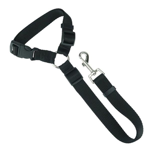 dog collars & leashes reflective traction rope pet running elastic hand jogging metal d ring
dog collars & leashes reflective traction rope pet running elastic hand jogging metal d ring
