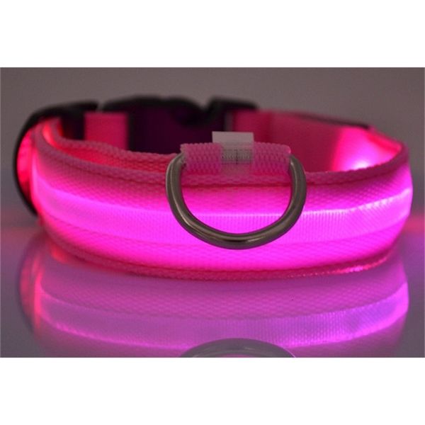 dibo cat flashlights flash america huskies collar teddy large dog collars s m l xl emitting led pet supplies
dibo cat flashlights flash america huskies collar teddy large dog collars s m l xl emitting led pet supplies