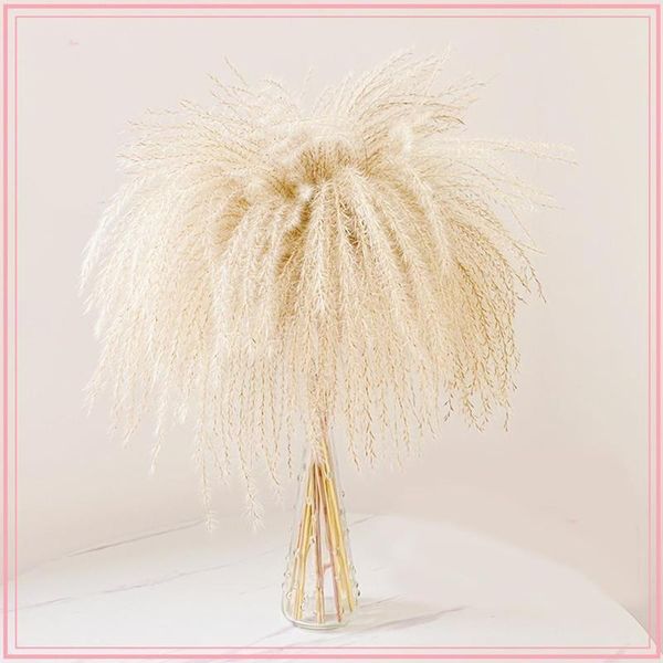 pampas grass 50pcs 40cm dried reed flowers natural dried flowers home decoration flower tail grass pampas
pampas grass 50pcs 40cm dried reed flowers natural dried flowers home decoration flower tail grass pampas