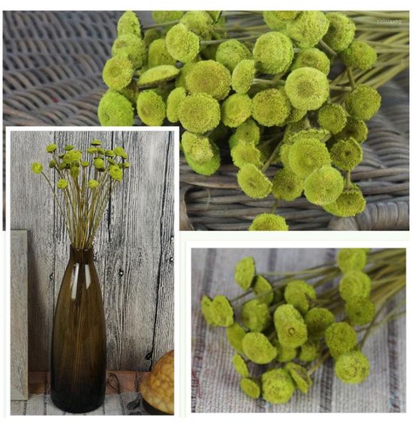 decorative flowers & wreaths 5 bunch clasp flower handmade dried party wedding decoration home bedroom living room office diy flowers1
decorative flowers & wreaths 5 bunch clasp flower handmade dried party wedding decoration home bedroom living room office diy flowers1