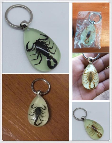 motorcycle mountain bike insect keychain personality pendant car for kia sportage sorento sedona proceed optima k9001, Silver
motorcycle mountain bike insect keychain personality pendant car for kia sportage sorento sedona proceed optima k9001, Silver