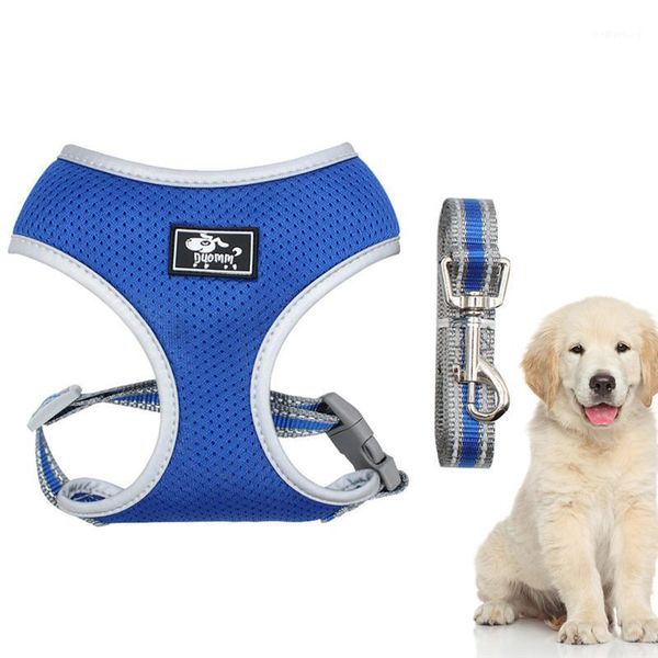 dog collars & leashes 1pc pet vest and leash set harnesses breathable pulling strap reflective chest straps for outdoor - size xs(blue)1
dog collars & leashes 1pc pet vest and leash set harnesses breathable pulling strap reflective chest straps for outdoor - size xs(blue)1