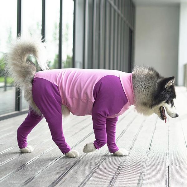 pet it anti-shed giant clothes lengthen four-footed all edges included pet clothes new style cross border dog supplies c
pet it anti-shed giant clothes lengthen four-footed all edges included pet clothes new style cross border dog supplies c