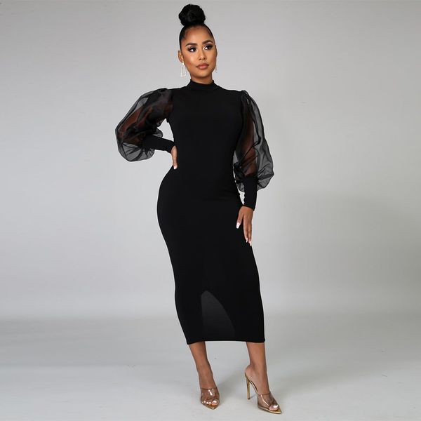 a6561 dress cross-border european and american womens clothing half turtleneck mesh see-through black lantern sleeve slim dress, White;black
a6561 dress cross-border european and american womens clothing half turtleneck mesh see-through black lantern sleeve slim dress, White;black