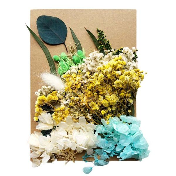 2020 new 1 pack crystal epoxy filler dry flower mixed nail stickers decor resin filler
2020 new 1 pack crystal epoxy filler dry flower mixed nail stickers decor resin filler