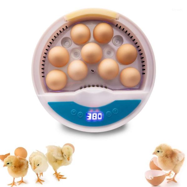 mini 9 egg incubator poultry incubator brooder digital temperature hatchery egg hatcher chicken duck bird pigeon1
mini 9 egg incubator poultry incubator brooder digital temperature hatchery egg hatcher chicken duck bird pigeon1