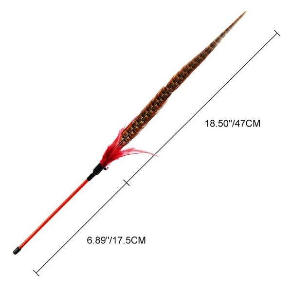 cat toys pet chasing interactive feather toy tease wand for solving boredom exercise
cat toys pet chasing interactive feather toy tease wand for solving boredom exercise