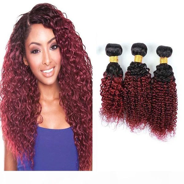brzailian ombre hair extension two tone 1b 99 kinky curly burgundy human hair weave 3 bundles wholesale colored brazilian red hair, Black
brzailian ombre hair extension two tone 1b 99 kinky curly burgundy human hair weave 3 bundles wholesale colored brazilian red hair, Black