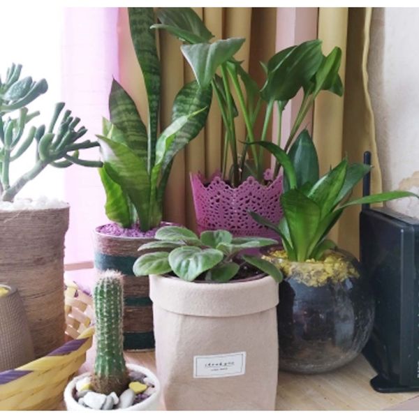 deskplant basket felt garden flower pot succulents thickened planter office home decoration container new h bbykor xmhyard
deskplant basket felt garden flower pot succulents thickened planter office home decoration container new h bbykor xmhyard