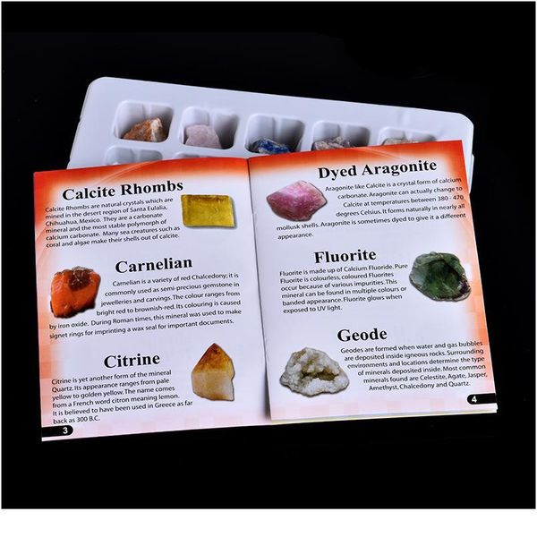 12-in-1 combination set natural rock crystal mineral jewelry home decoration study room decoration diy gift jllkqm, Black
12-in-1 combination set natural rock crystal mineral jewelry home decoration study room decoration diy gift jllkqm, Black