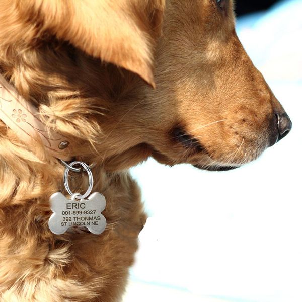 custom engraved pet dog tags three size engraving on front and back side dog identification tag toys gift q bbyaua
custom engraved pet dog tags three size engraving on front and back side dog identification tag toys gift q bbyaua