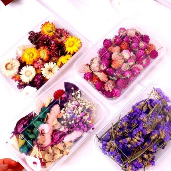 2020 new 1box crystal epoxy filler dry flower mixed nail stickers decorations art crafts
2020 new 1box crystal epoxy filler dry flower mixed nail stickers decorations art crafts
