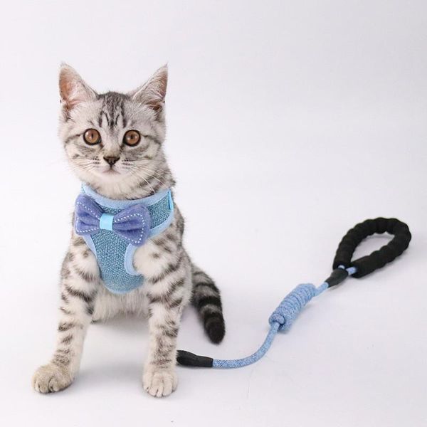 cat dog регулируемый жгут жилет гуляя свинец поводок для щенка воротник полиэстер сетка жгута для маленькой средней собаки кошка
cat dog регулируемый жгут жилет гуляя свинец поводок для щенка воротник полиэстер сетка жгута для маленькой средней собаки кошка
